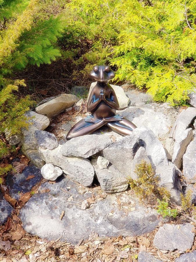 New Buddha Bing Unique Experience Cottage And Cabins Tobermory Eksteriør billede